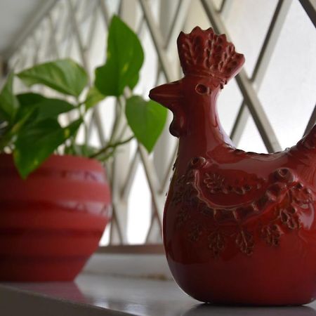 B&B Casa Morgana Όλμπια Εξωτερικό φωτογραφία