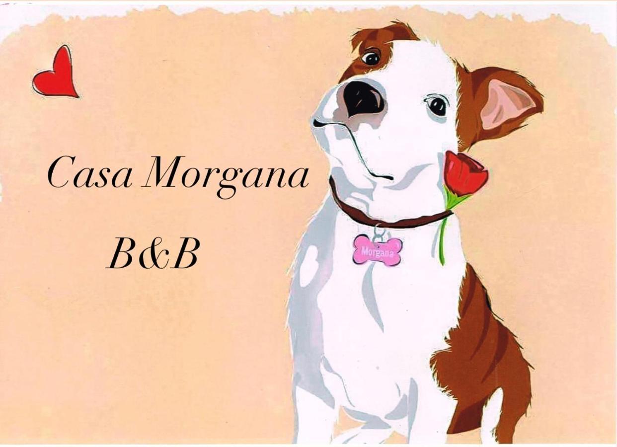 B&B Casa Morgana Όλμπια Εξωτερικό φωτογραφία